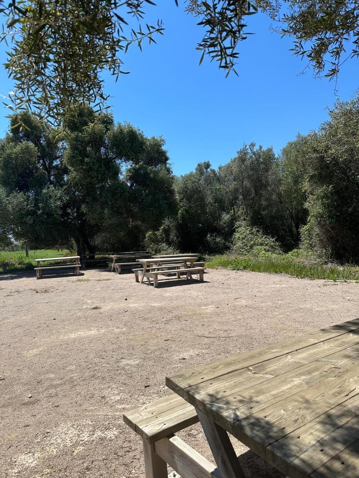 Duplex, Piscina Y Playa Villa Puebla de Farnals Kültér fotó